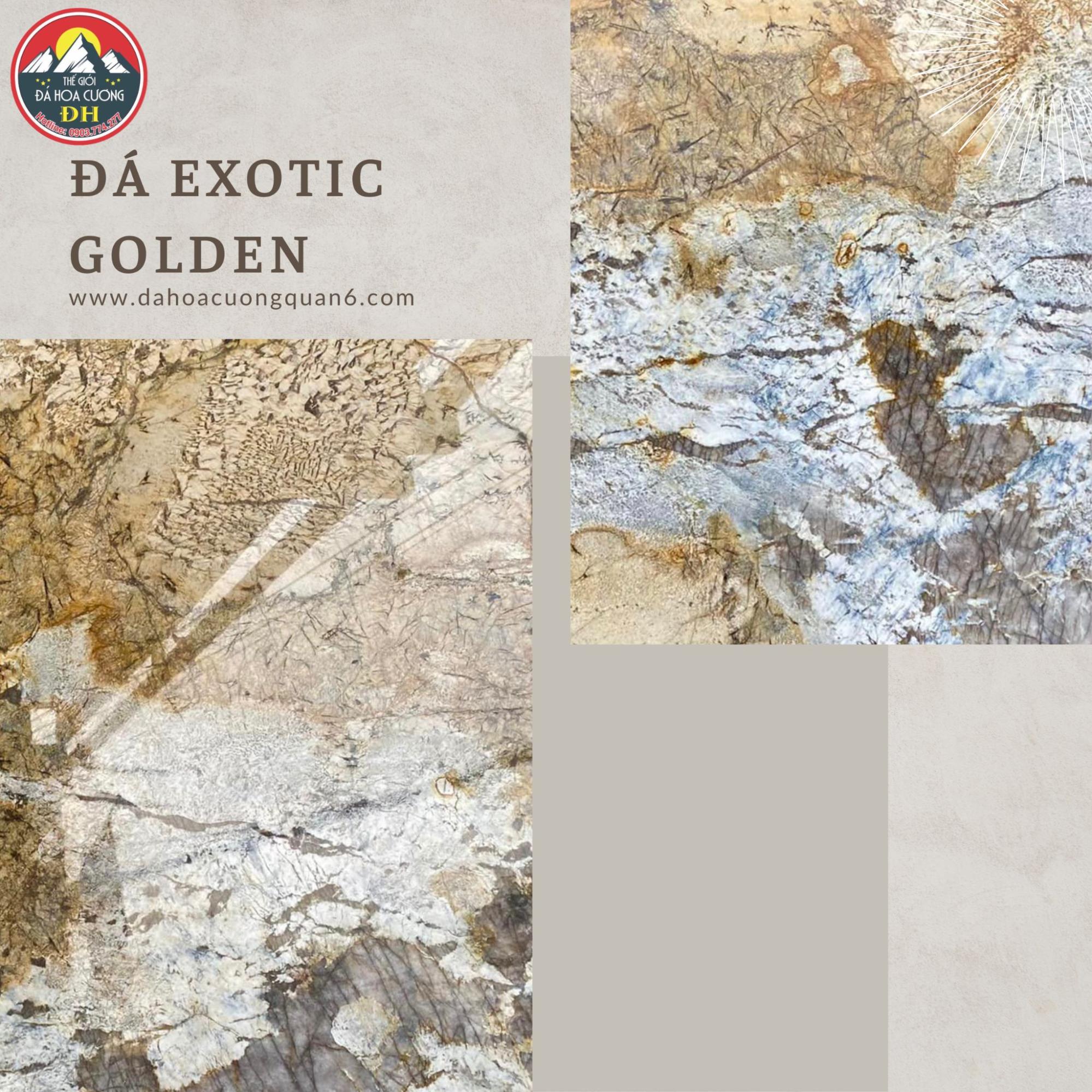 Tổng quan đá Exotic Golden
